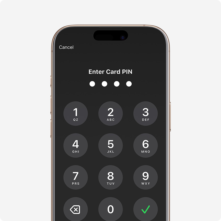 PIN transaction protection